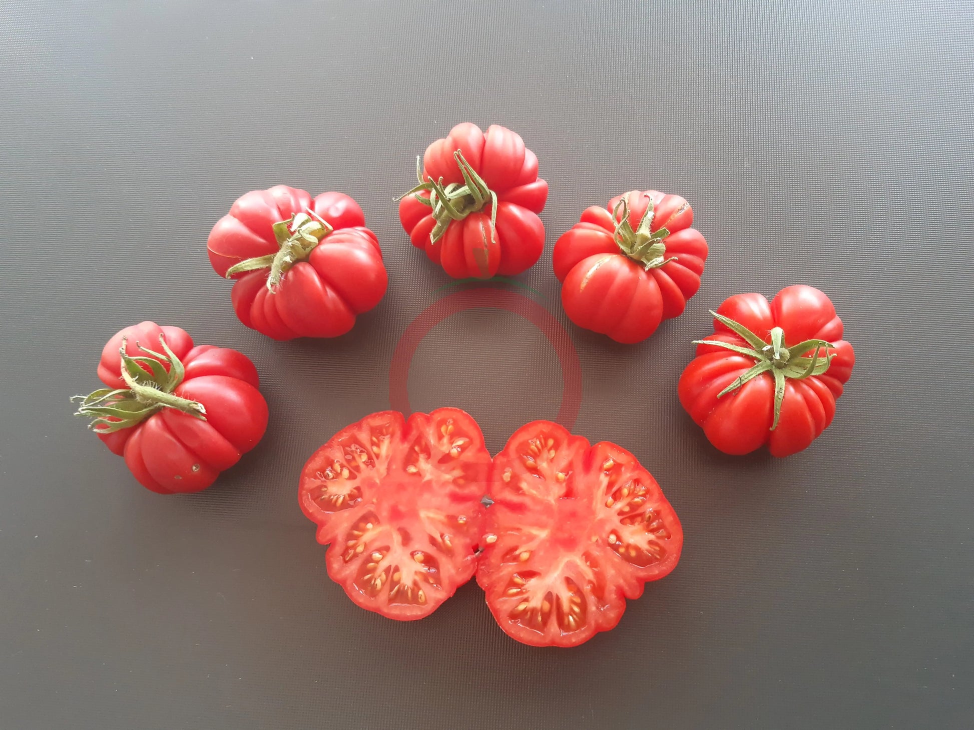 Loka DER TOMATENFLÜSTERER
