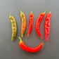 Lombok DER TOMATENFLÜSTERER