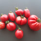 Löwenherz DER TOMATENFLÜSTERER