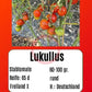 Lukullus DER TOMATENFLÜSTERER
