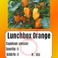 Lunchbox Orange DER TOMATENFLÜSTERER