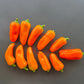 Lunchbox Orange DER TOMATENFLÜSTERER