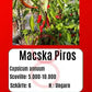 Macska Piros DER TOMATENFLÜSTERER