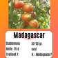 Madagascar DER TOMATENFLÜSTERER