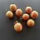 Madagascar DER TOMATENFLÜSTERER