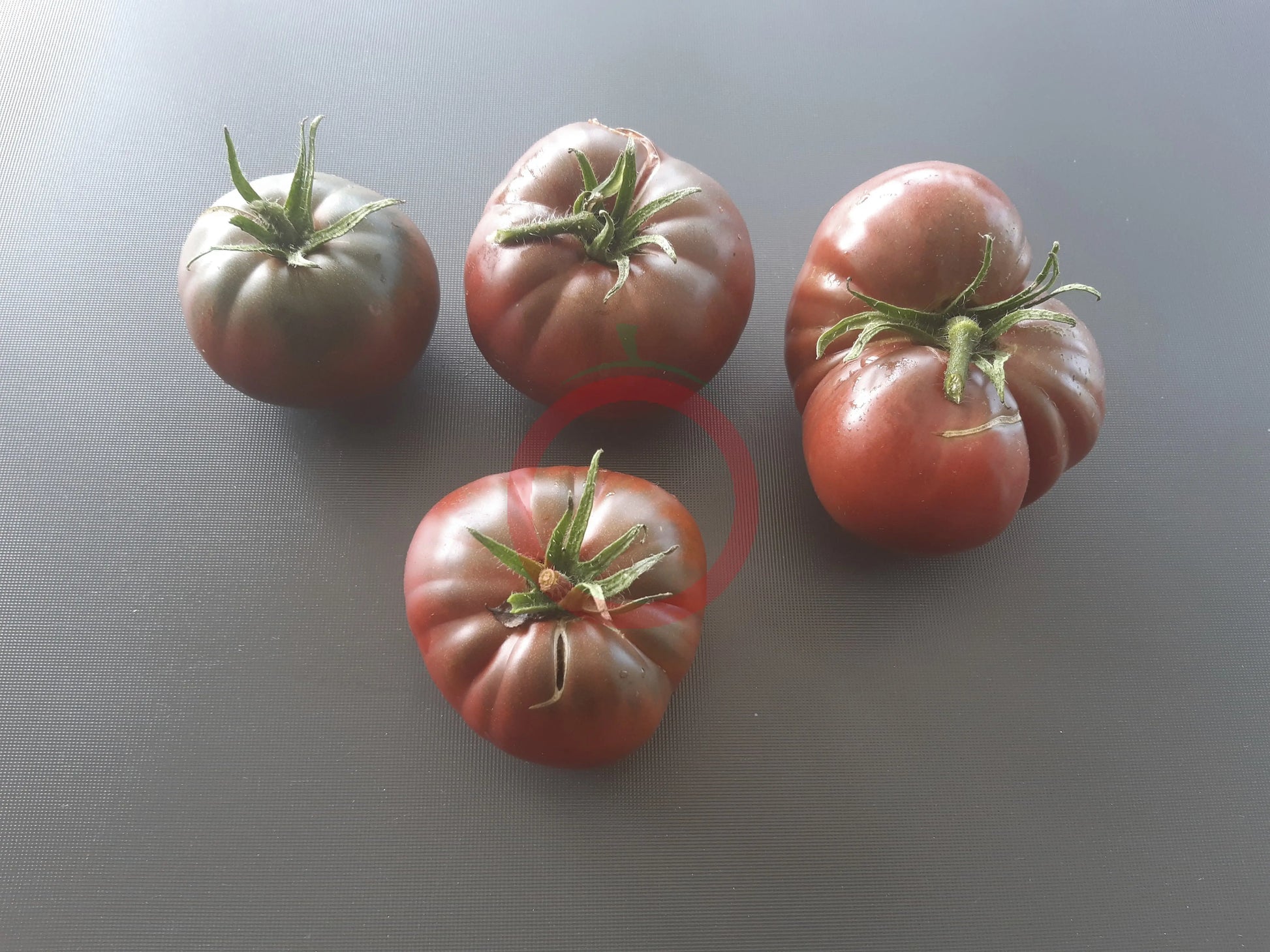 Magali Braun DER TOMATENFLÜSTERER