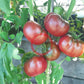 Magali Braun DER TOMATENFLÜSTERER
