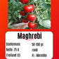 Maghrebi DER TOMATENFLÜSTERER