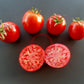 Maghrebi DER TOMATENFLÜSTERER