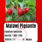 Malawi Piquante Pepper DER TOMATENFLÜSTERER
