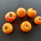 Mallorquin Colgados DER TOMATENFLÜSTERER