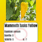 Mammoth Tusks Yellow DER TOMATENFLÜSTERER