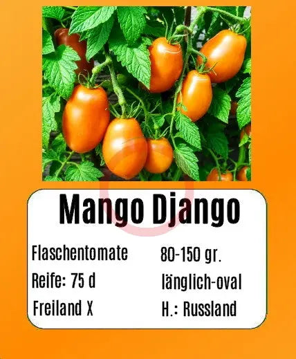 Mango Django DER TOMATENFLÜSTERER