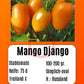 Mango Django DER TOMATENFLÜSTERER