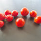 Maria Koller DER TOMATENFLÜSTERER