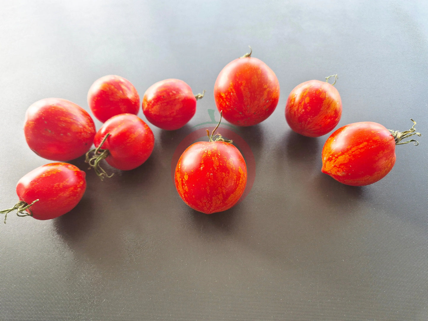 Maria Koller DER TOMATENFLÜSTERER