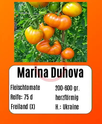 Marina Duhova DER TOMATENFLÜSTERER