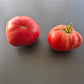 Marlowe Charleston DER TOMATENFLÜSTERER