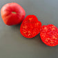 Marlowe Charleston DER TOMATENFLÜSTERER