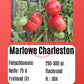 Marlowe Charleston DER TOMATENFLÜSTERER