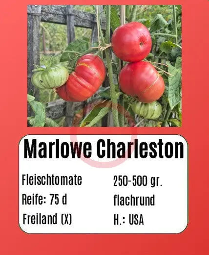 Marlowe Charleston DER TOMATENFLÜSTERER