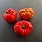 Marmande de Montpellier DER TOMATENFLÜSTERER