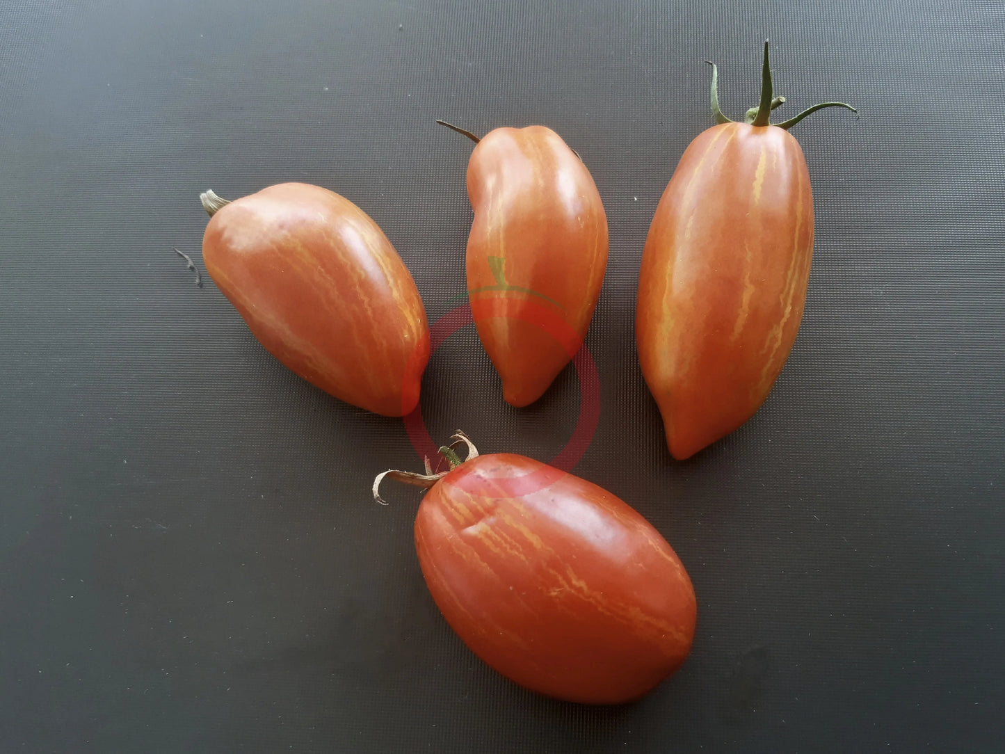 Marzano Fire DER TOMATENFLÜSTERER