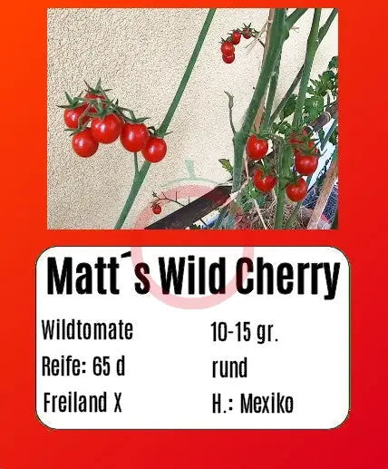 Matt´s Wild Cherry DER TOMATENFLÜSTERER