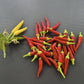 Medusa Pepper DER TOMATENFLÜSTERER
