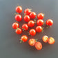 Mei Wei DER TOMATENFLÜSTERER