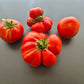 Melissa Kavkazskaya Ovcharka DER TOMATENFLÜSTERER