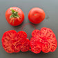 Melissa Kavkazskaya Ovcharka DER TOMATENFLÜSTERER