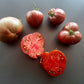 Metallica DER TOMATENFLÜSTERER