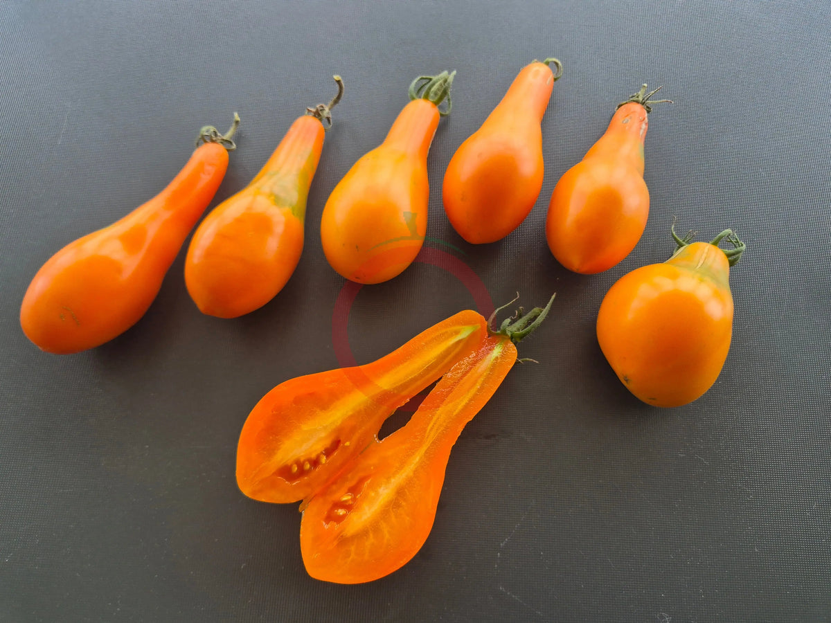 Mila DER TOMATENFLÜSTERER