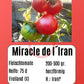 Miracle de l´Iran DER TOMATENFLÜSTERER