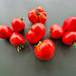 Mishka Kosolapy DER TOMATENFLÜSTERER