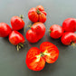 Mishka Kosolapy DER TOMATENFLÜSTERER