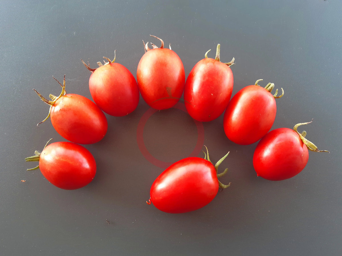Mom´s Paste DER TOMATENFLÜSTERER