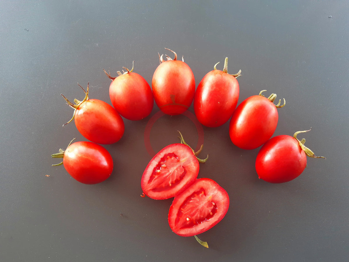 Mom´s Paste DER TOMATENFLÜSTERER