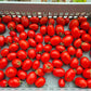 Mom´s Paste DER TOMATENFLÜSTERER