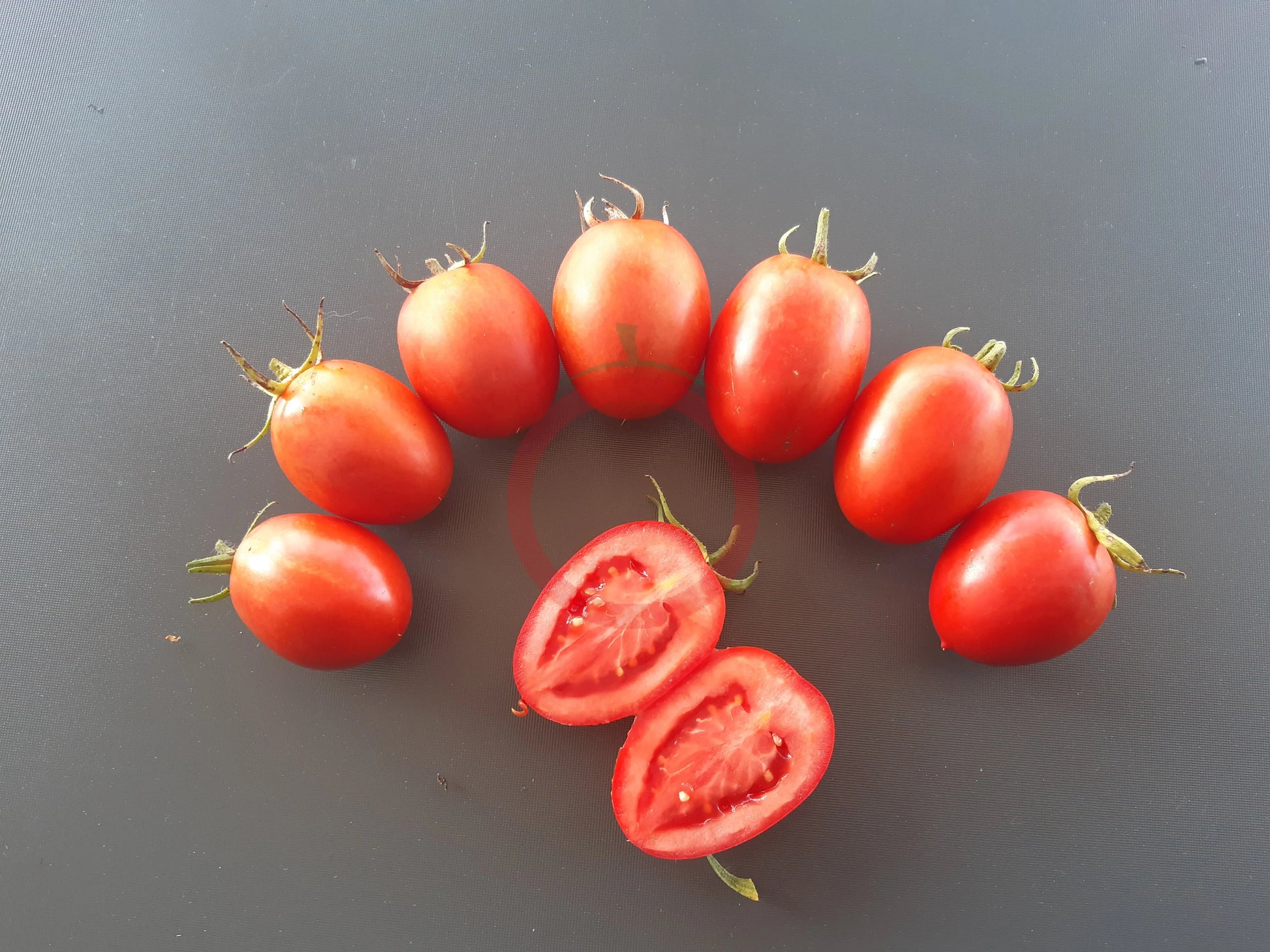 Mom´s Paste DER TOMATENFLÜSTERER