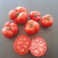 Mongolskiy Karlik DER TOMATENFLÜSTERER