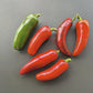 Monster Jalapeno DER TOMATENFLÜSTERER