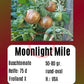 Moonlight Mile DER TOMATENFLÜSTERER