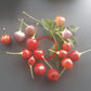 Moranginho DER TOMATENFLÜSTERER