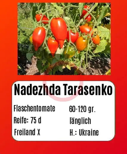 Nadezhda Tarasenko DER TOMATENFLÜSTERER