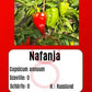 Nafanja DER TOMATENFLÜSTERER