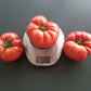 Nahuelbuta Pink DER TOMATENFLÜSTERER