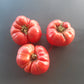 Nahuelbuta Pink DER TOMATENFLÜSTERER