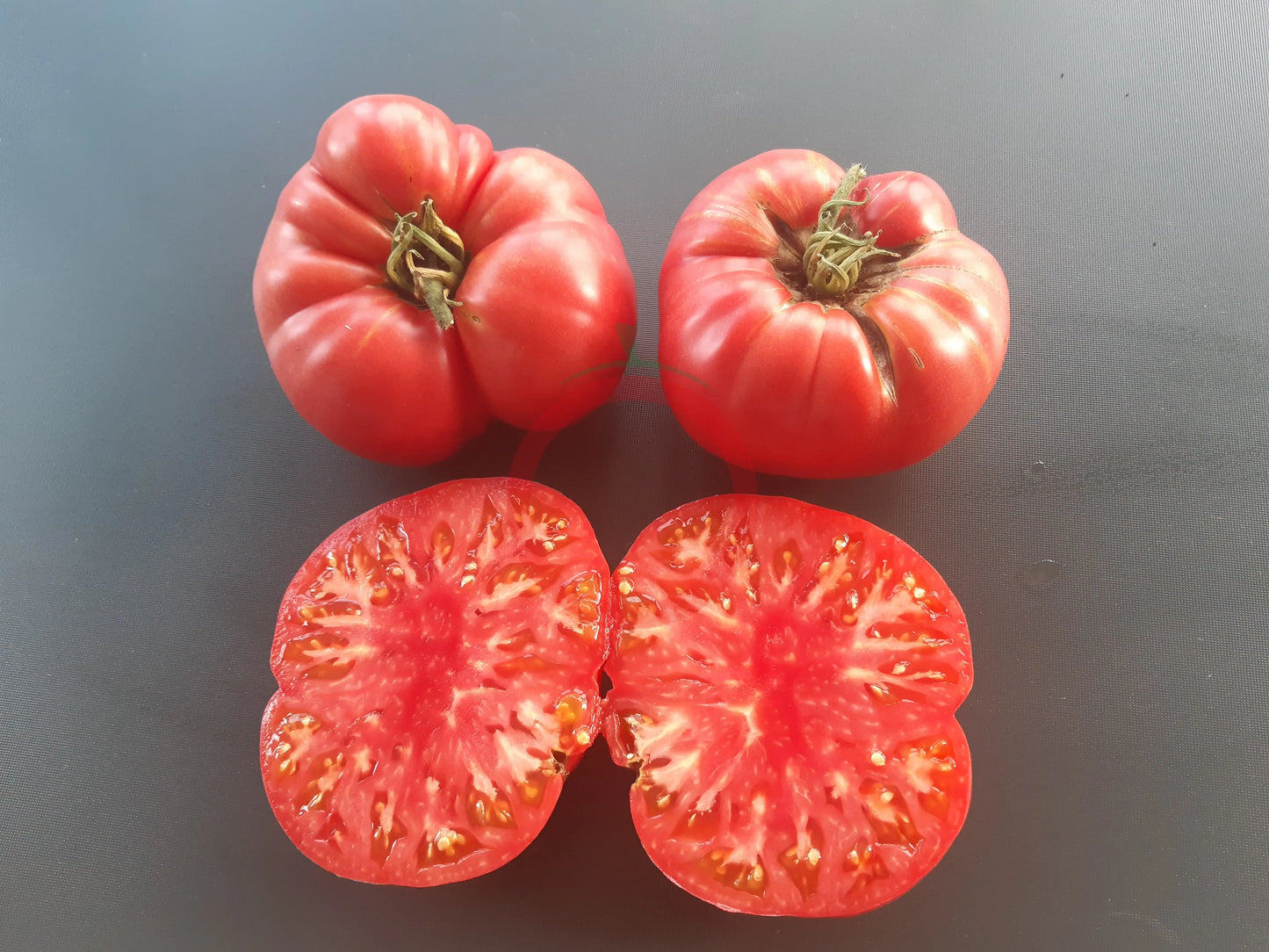 Nahuelbuta Pink DER TOMATENFLÜSTERER